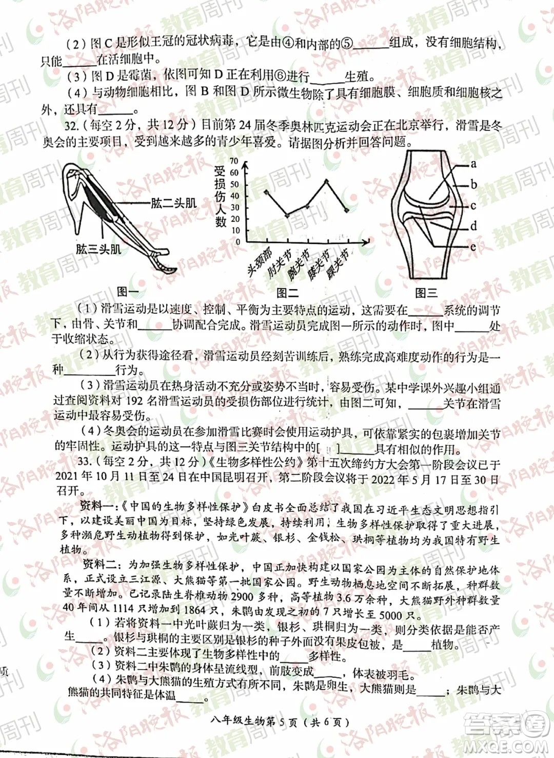 洛陽(yáng)市2021-2022學(xué)年第一學(xué)期期末考試八年級(jí)生物試題及答案