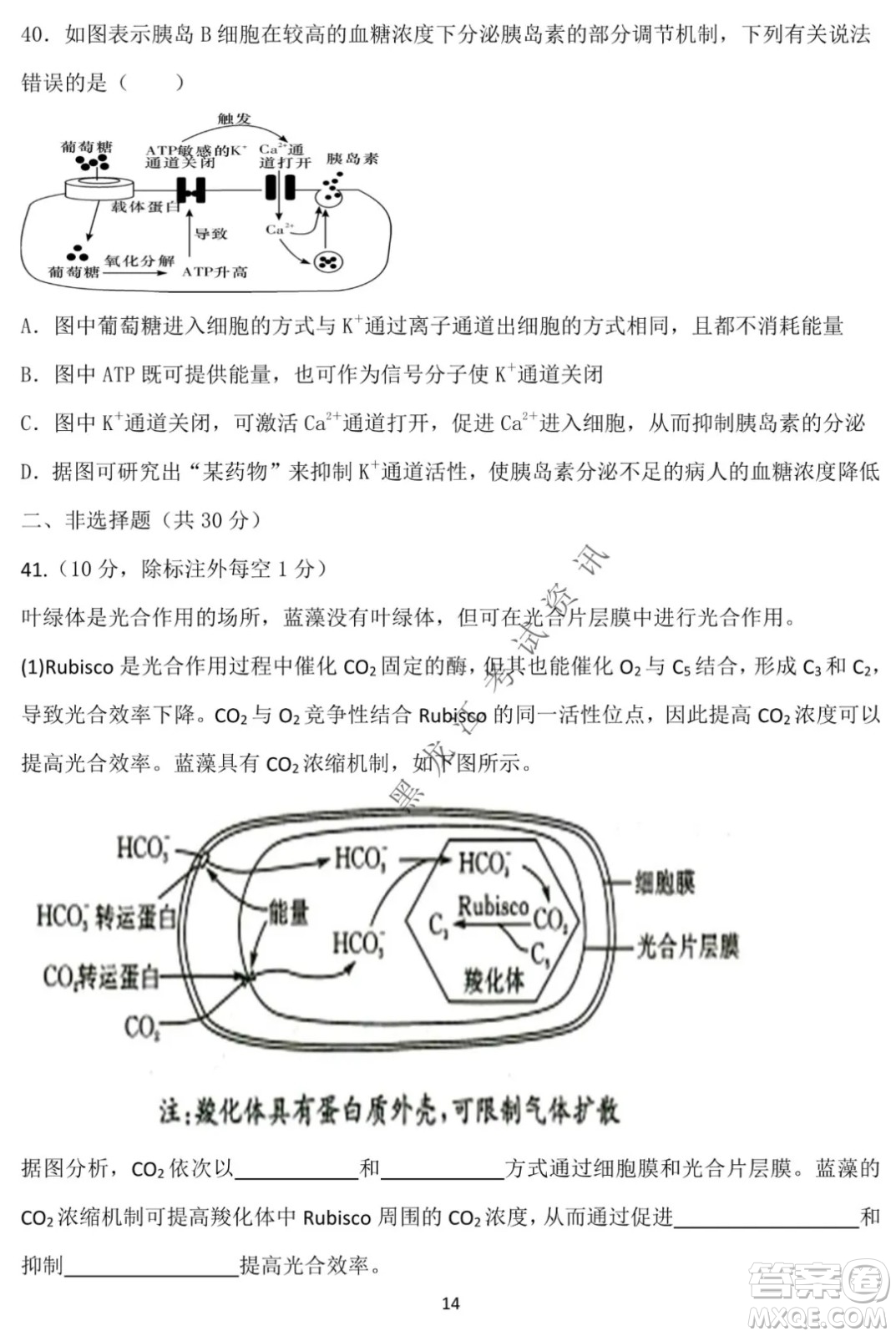 德強高中2021-2022學年度上學期期末驗收考試高三學年清北生物試題及答案