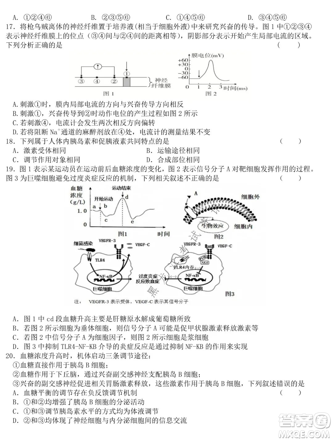 哈爾濱市第六中學(xué)校2020級上學(xué)期期末考試高二生物試題及答案