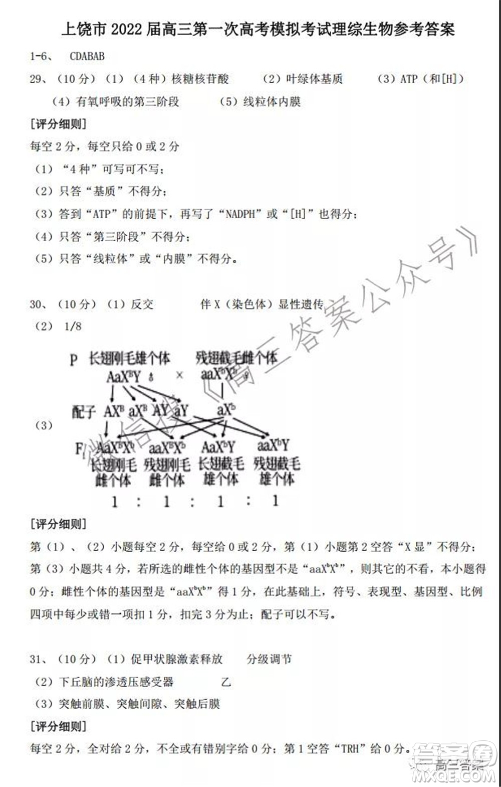 上饒市2022屆高三第一次高考模擬考試理科綜合試題及答案