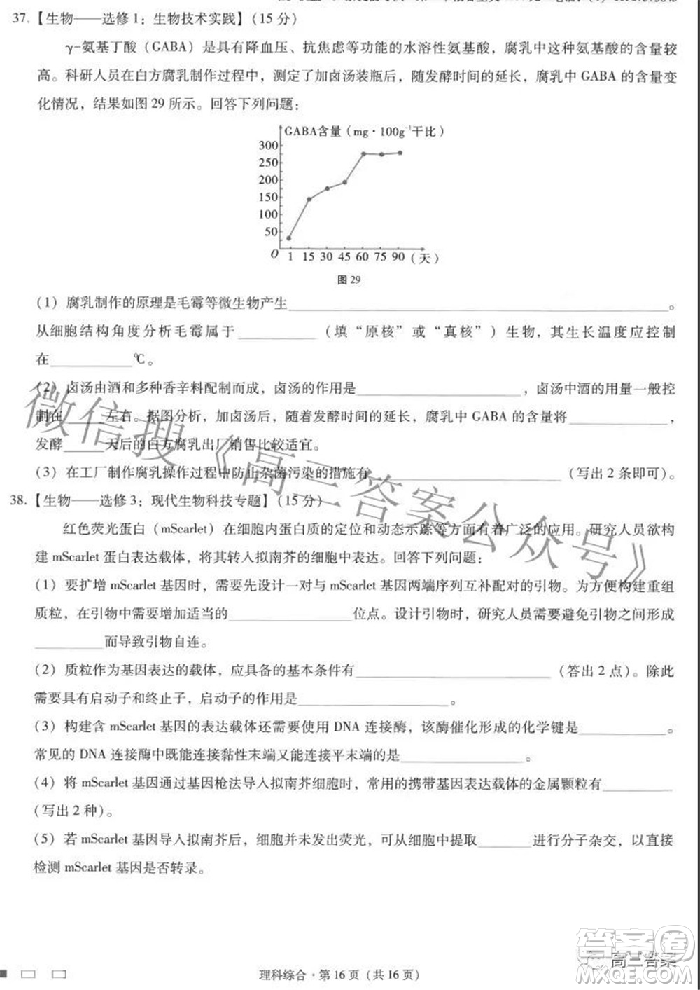 2022屆云師大附中高三適應(yīng)性月考七理科綜合試題及答案