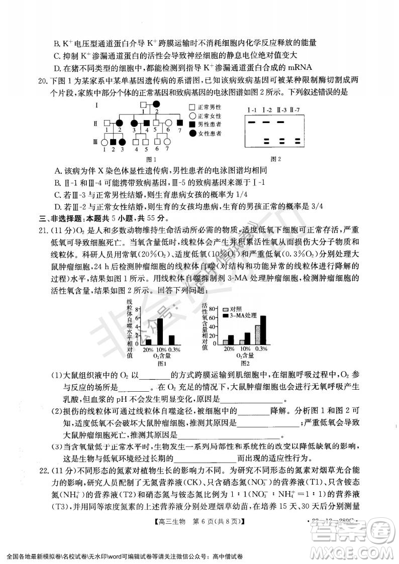 遼寧省縣級(jí)重點(diǎn)高中協(xié)作體2021-2022學(xué)年高三上學(xué)期期末考試生物試題及答案