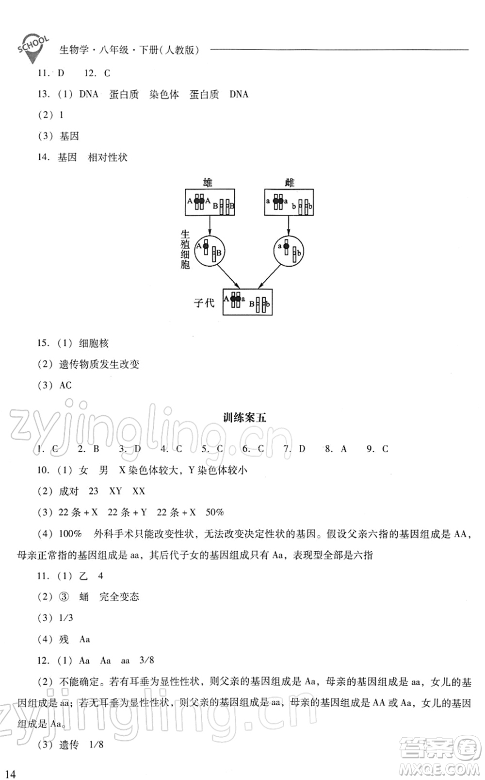 山西教育出版社2022新課程問題解決導(dǎo)學(xué)方案八年級生物下冊人教版答案