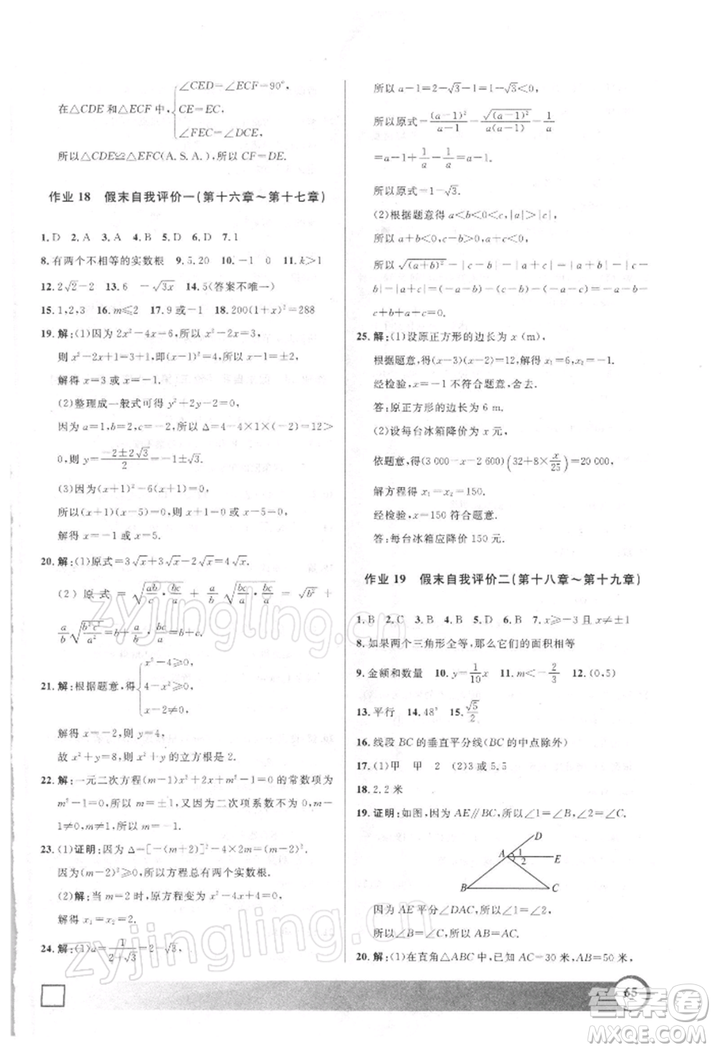 上海大學(xué)出版社2022鐘書(shū)金牌寒假作業(yè)導(dǎo)與練八年級(jí)數(shù)學(xué)通用版上海專版參考答案