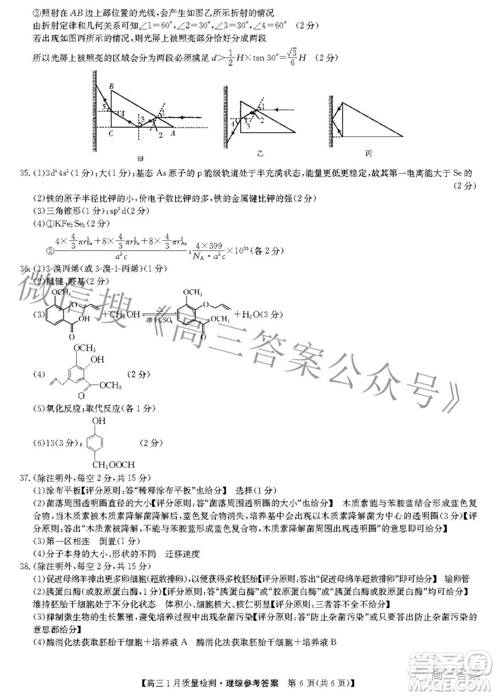 2022屆九師聯(lián)盟高三1月質(zhì)量檢測(cè)理科綜合答案