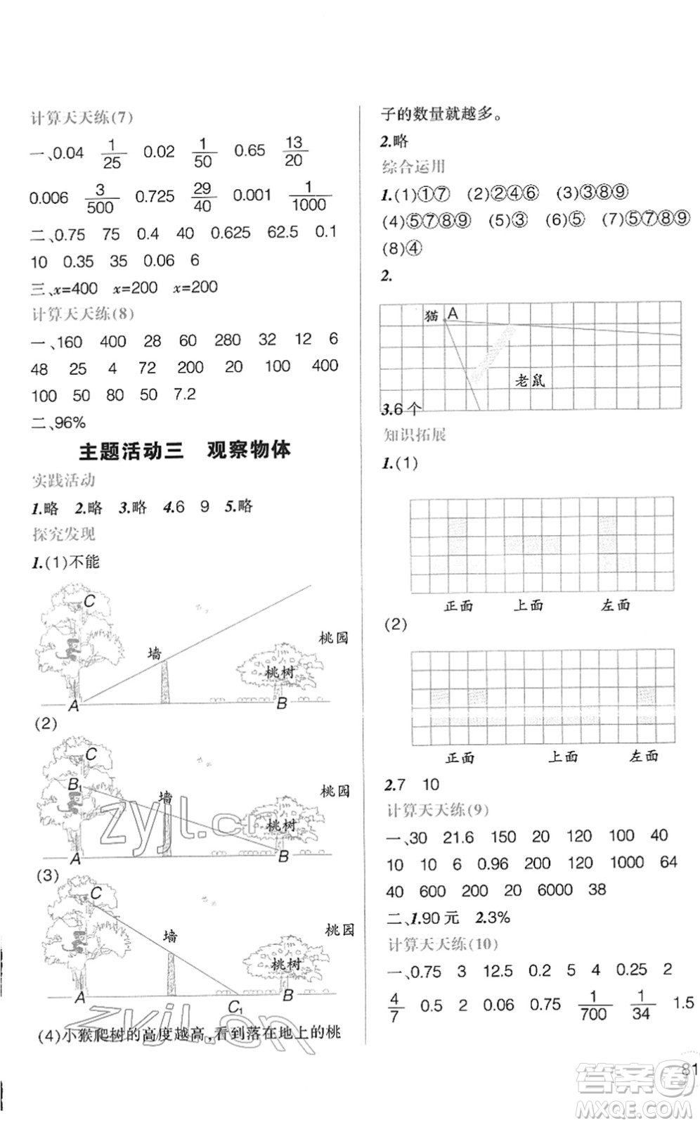 遼寧師范大學(xué)出版社2022寒假樂園六年級數(shù)學(xué)通用版答案