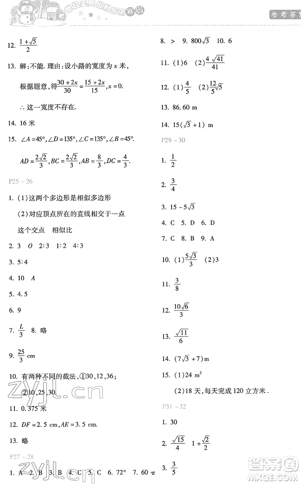 河北少年兒童出版社2022世超金典假期樂園寒假九年級(jí)數(shù)學(xué)JJ冀教版答案