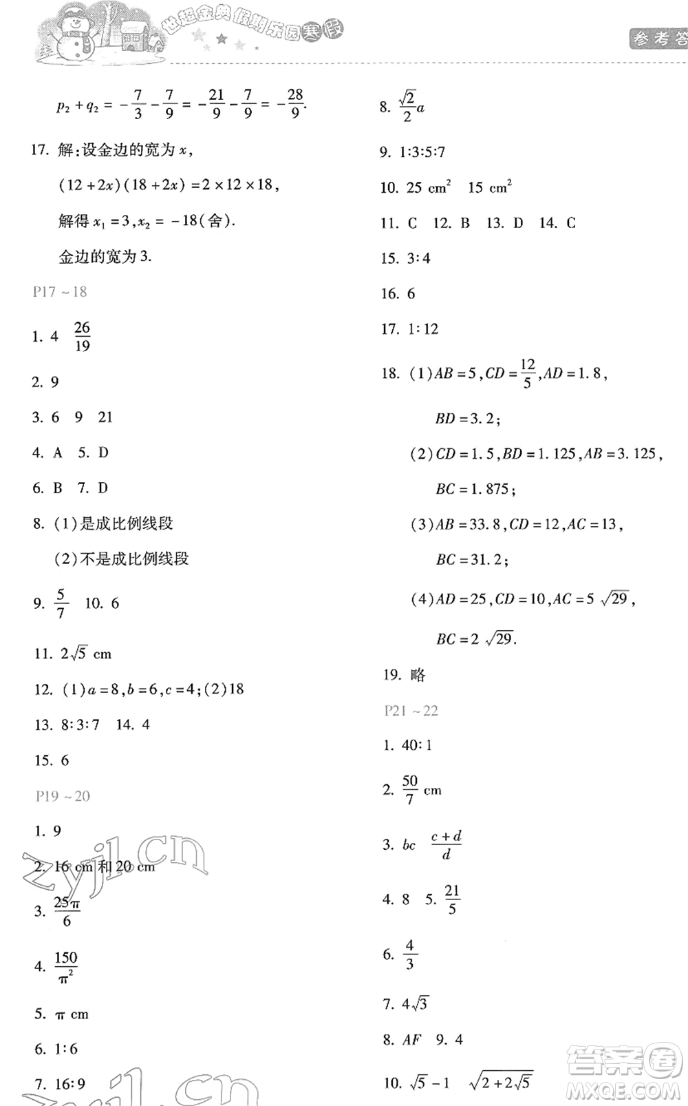 河北少年兒童出版社2022世超金典假期樂園寒假九年級(jí)數(shù)學(xué)JJ冀教版答案