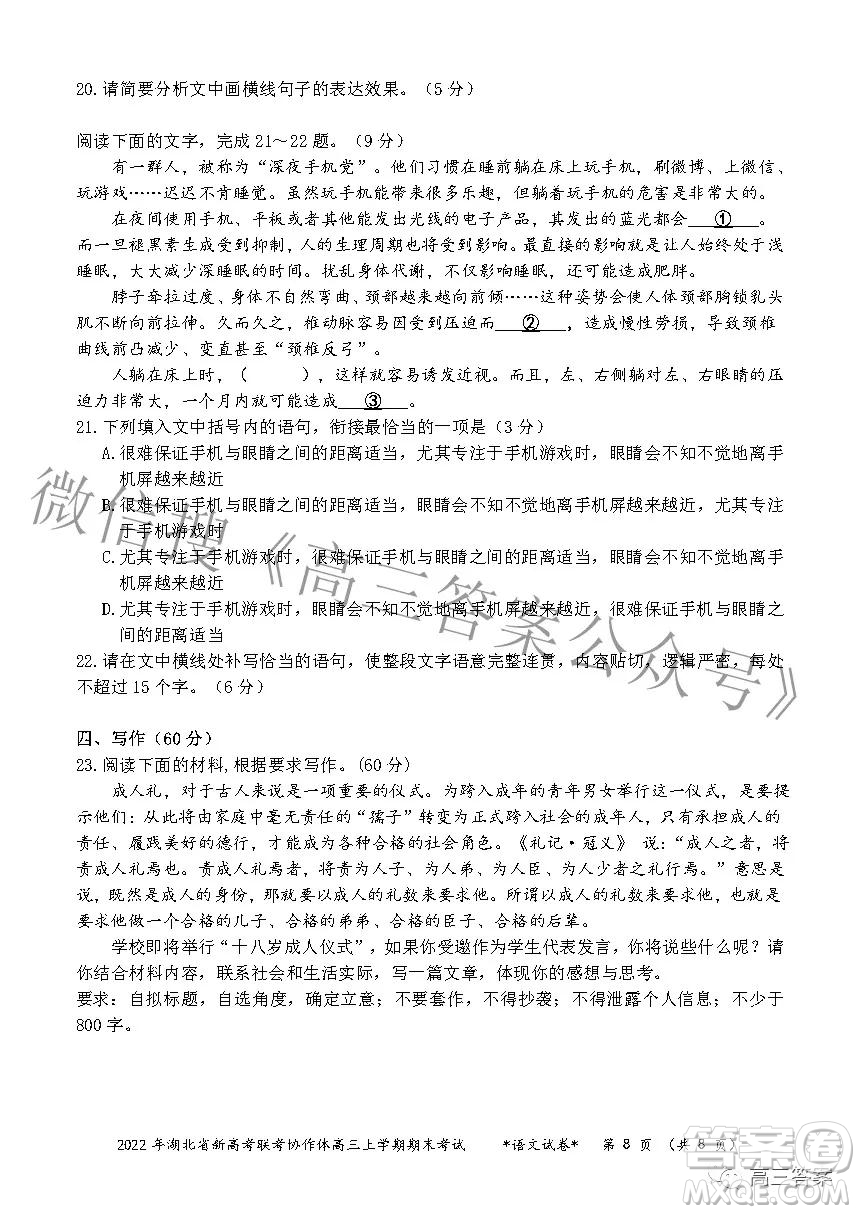 2022年湖北省新高考協(xié)作體高三上學(xué)期期末考試語文試卷及答案