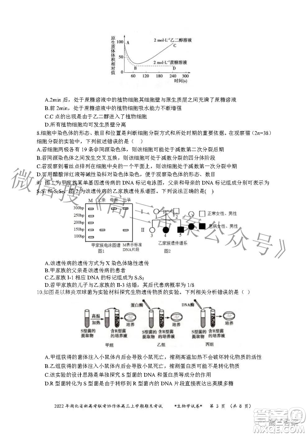 2022年湖北省新高考協(xié)作體高三上學期期末考試生物學試卷及答案