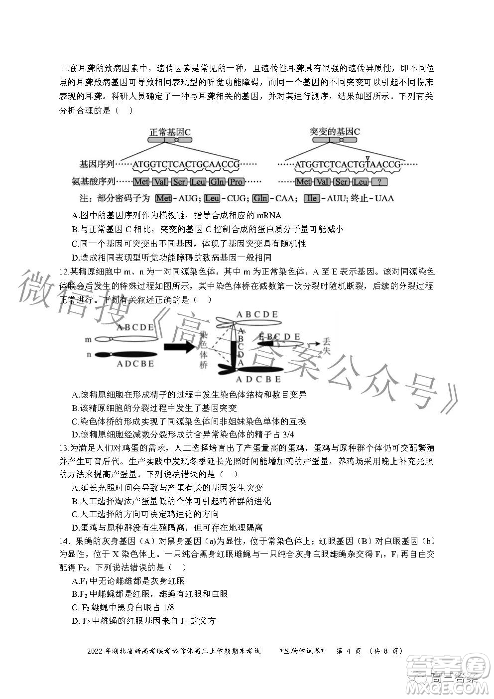 2022年湖北省新高考協(xié)作體高三上學期期末考試生物學試卷及答案