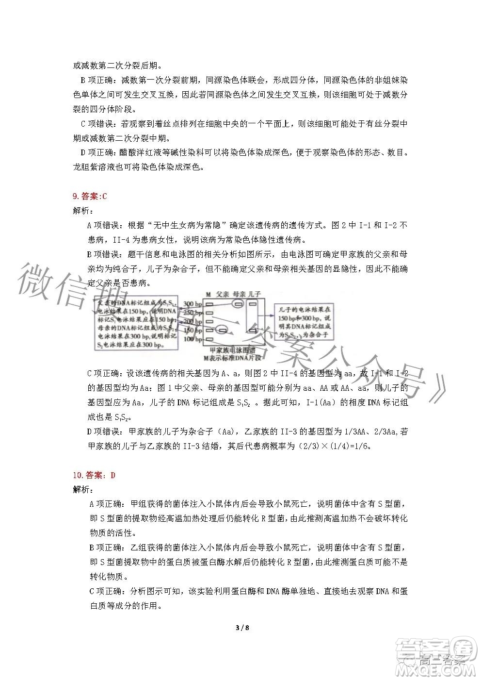 2022年湖北省新高考協(xié)作體高三上學期期末考試生物學試卷及答案