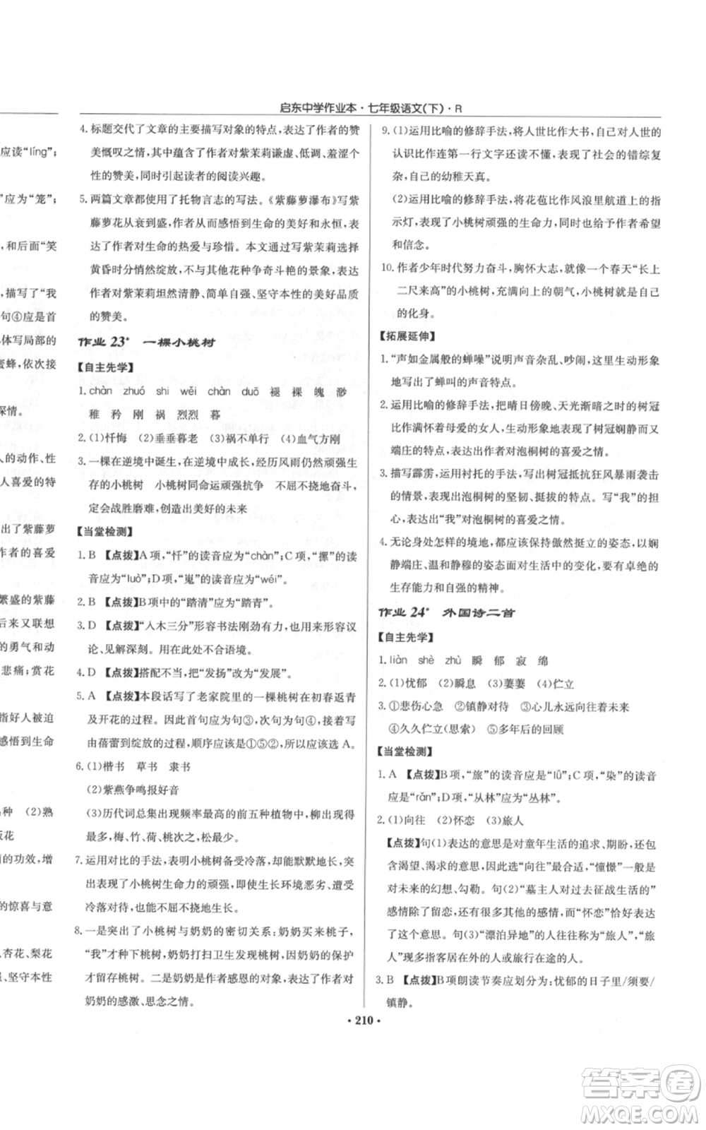 龍門書局2022啟東中學作業(yè)本七年級語文下冊人教版參考答案