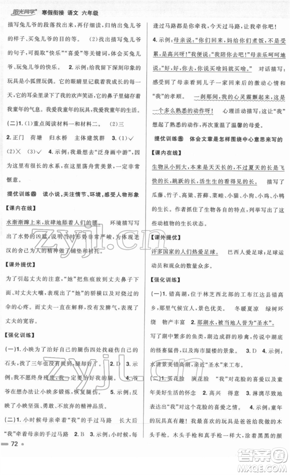 江西教育出版社2022陽光同學(xué)寒假銜接六年級語文人教版答案