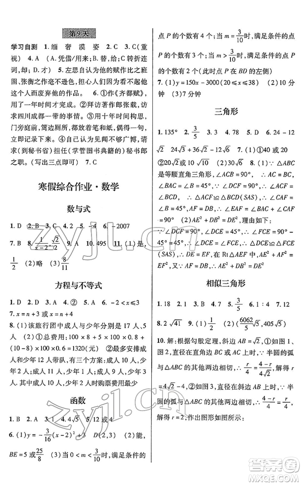 浙江科學(xué)技術(shù)出版社2022寒假綜合作業(yè)九年級合訂本通用版答案