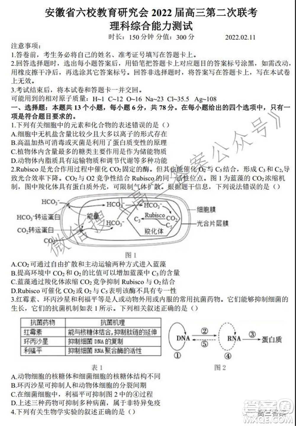 安徽省六校教育研究會(huì)2022屆高三聯(lián)考理科綜合能力測試答案