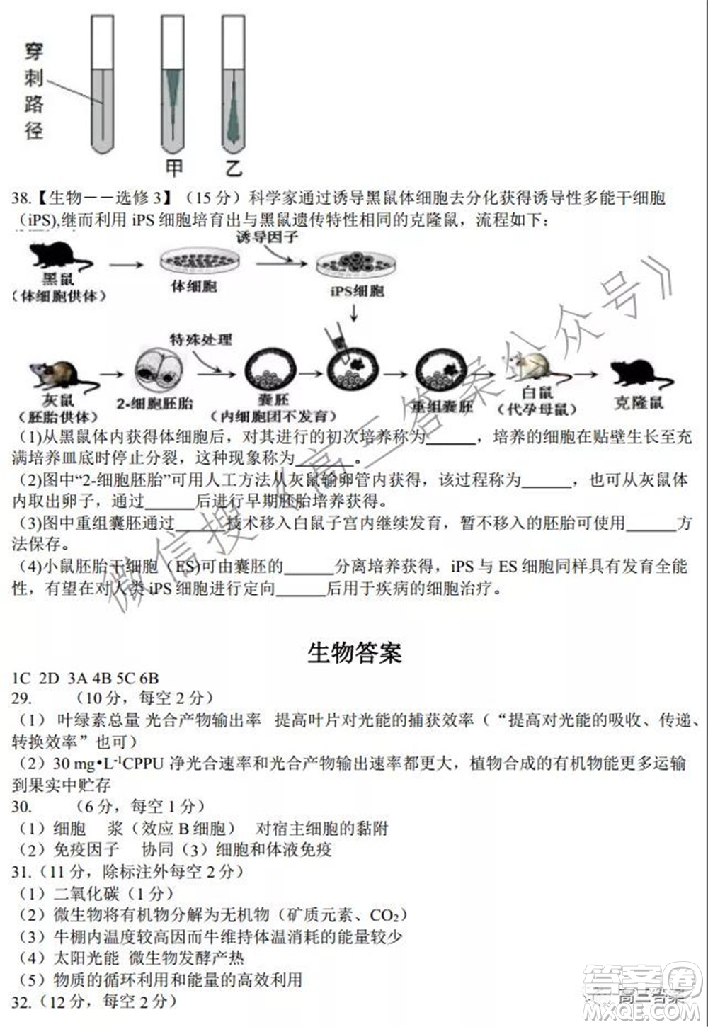 安徽省六校教育研究會(huì)2022屆高三聯(lián)考理科綜合能力測試答案