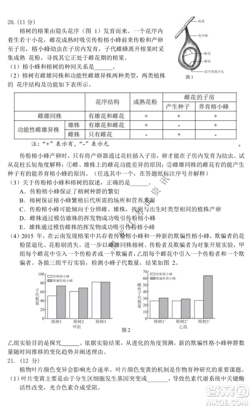 北京市西城區(qū)2021-2022學年第一學期期末試卷高三生物試題及答案