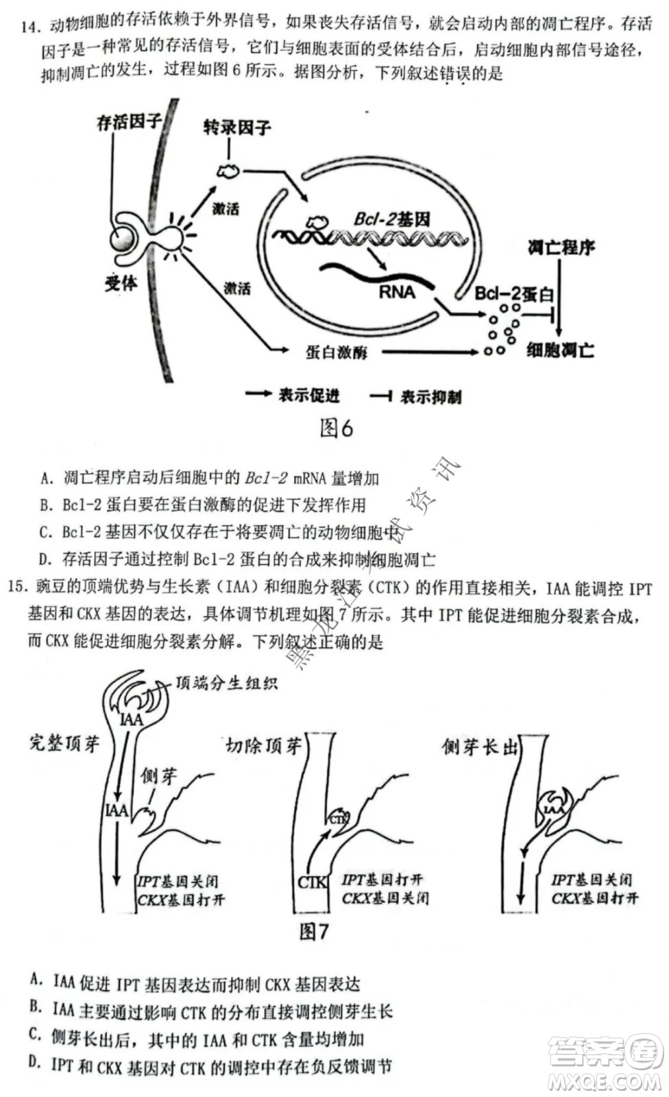 2021-2022學(xué)年佛山市普通高中高三教學(xué)質(zhì)量檢測一生物學(xué)試題及答案