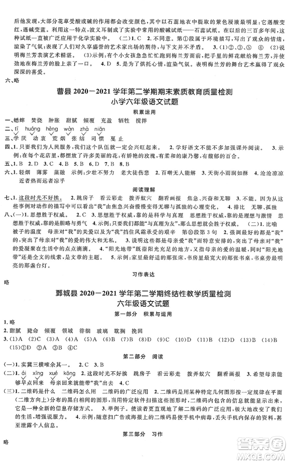 江西教育出版社2022陽光同學課時優(yōu)化作業(yè)六年級語文下冊RJ人教版菏澤專版答案