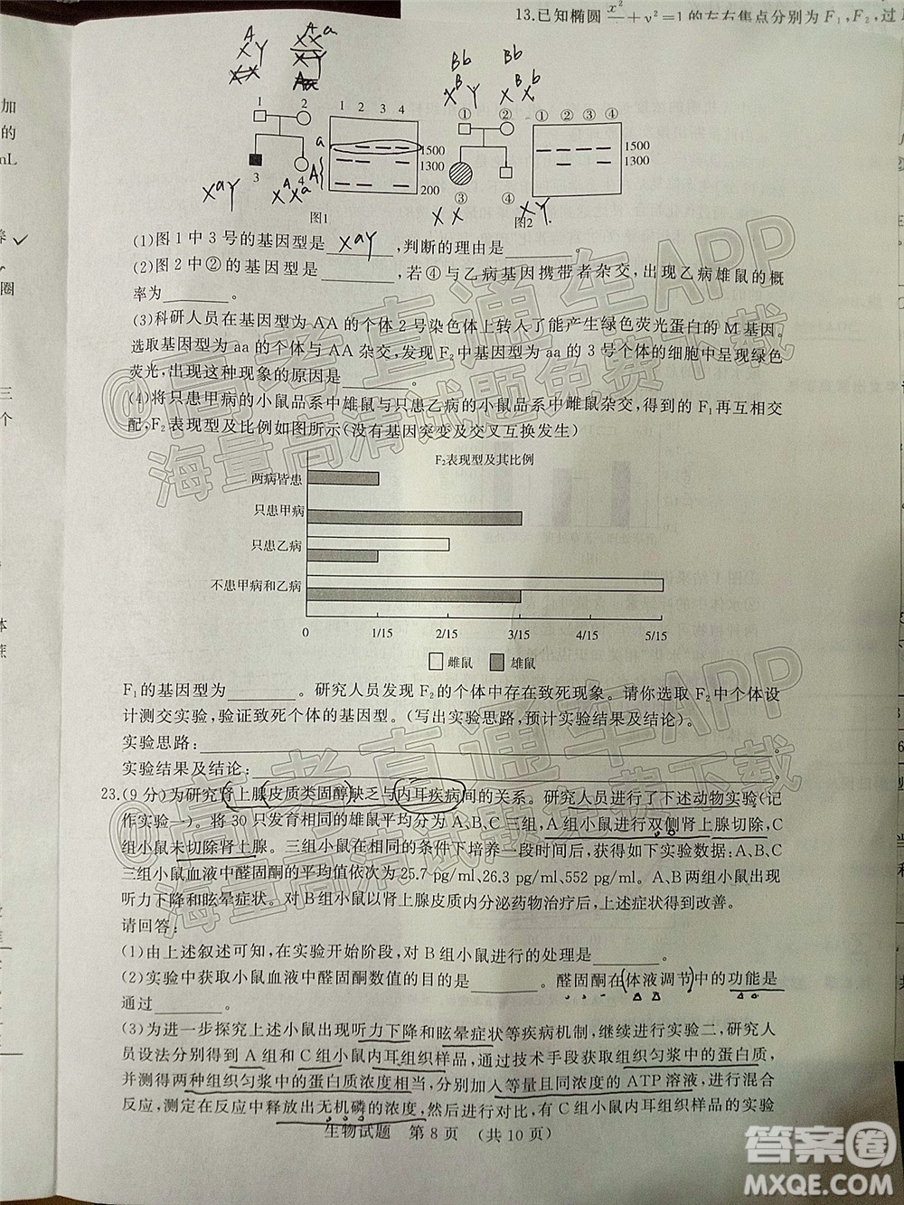 2022年濟南十一校高三年級2月學(xué)校聯(lián)考生物試題及答案