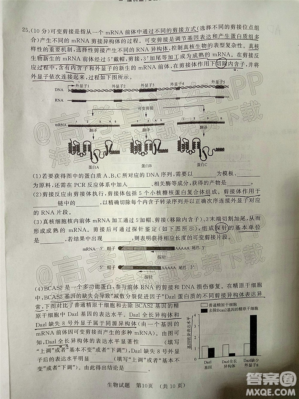 2022年濟南十一校高三年級2月學(xué)校聯(lián)考生物試題及答案