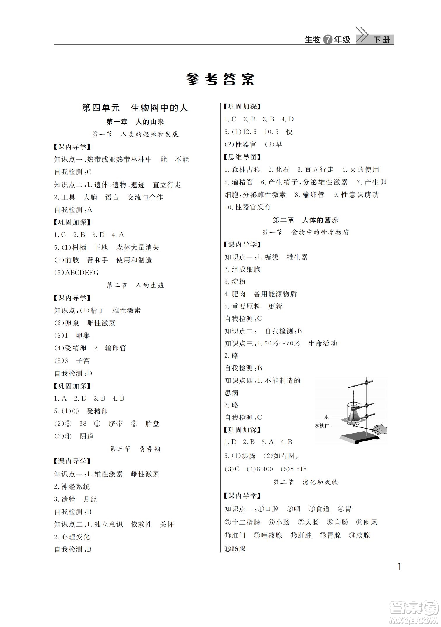 武漢出版社2022智慧學(xué)習(xí)天天向上課堂作業(yè)七年級(jí)生物下冊人教版答案