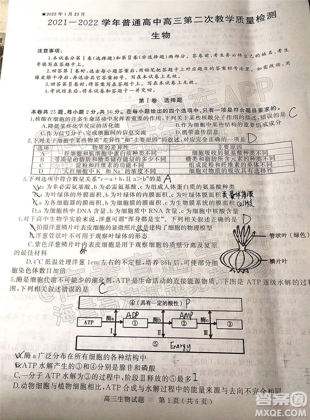 河南信陽2021-2022學(xué)年普通高中高三第二次教學(xué)質(zhì)量檢測生物試題及答案