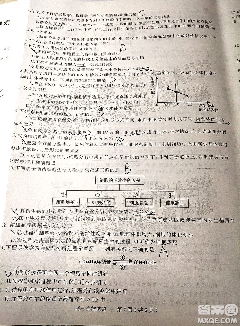 河南信陽2021-2022學(xué)年普通高中高三第二次教學(xué)質(zhì)量檢測生物試題及答案