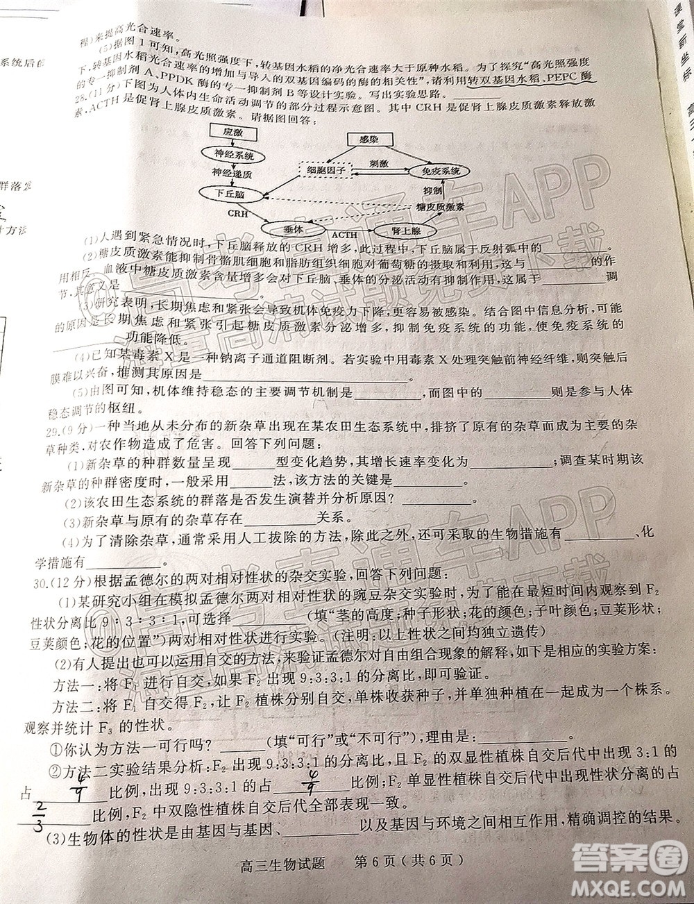 河南信陽2021-2022學(xué)年普通高中高三第二次教學(xué)質(zhì)量檢測生物試題及答案