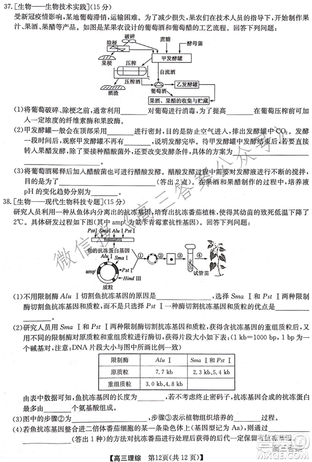 2022年2月九師聯(lián)盟高三聯(lián)考理科綜合試題及答案