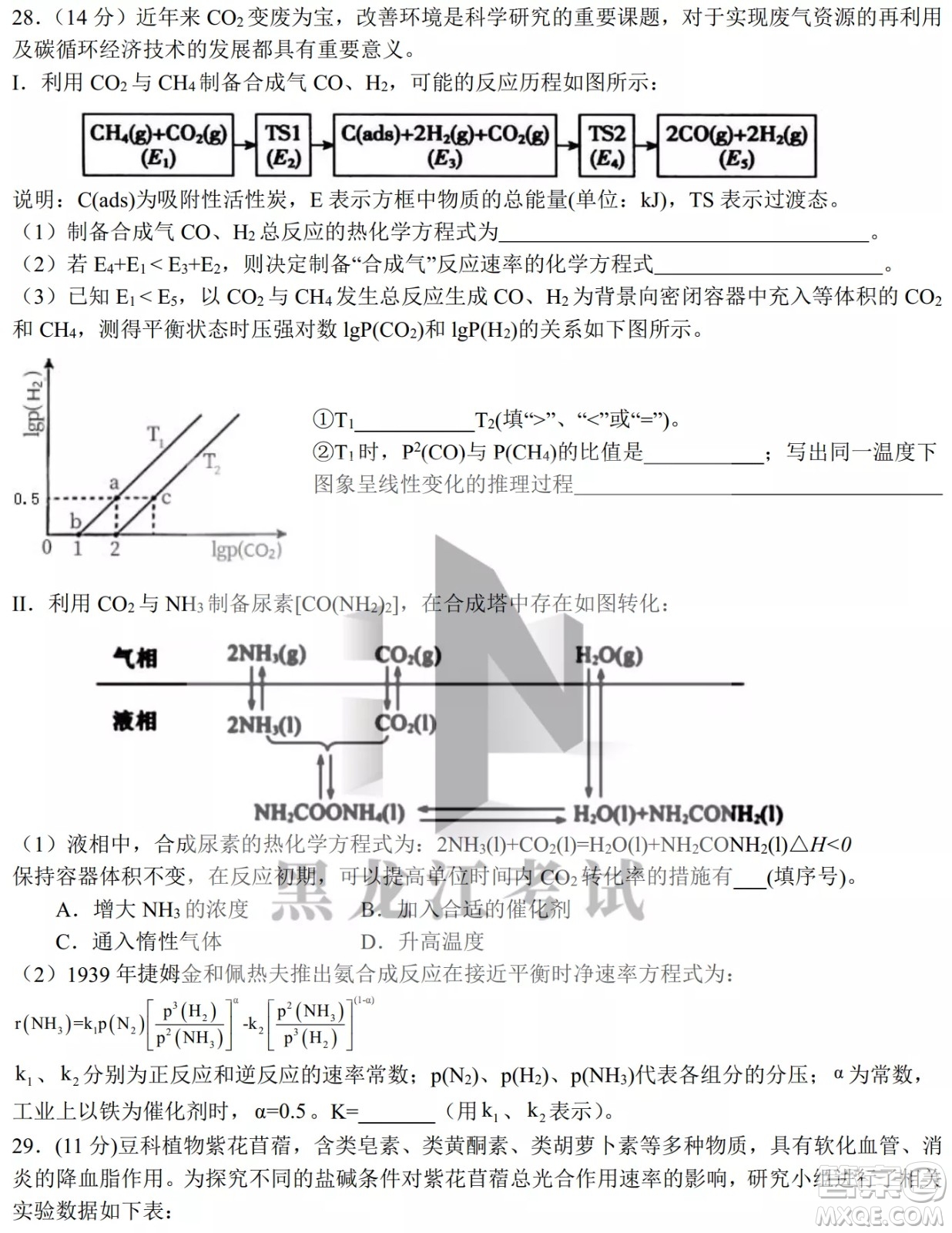 哈爾濱市第九中學(xué)校2021-2022學(xué)年度下學(xué)期開(kāi)學(xué)考試高三理綜試題及答案