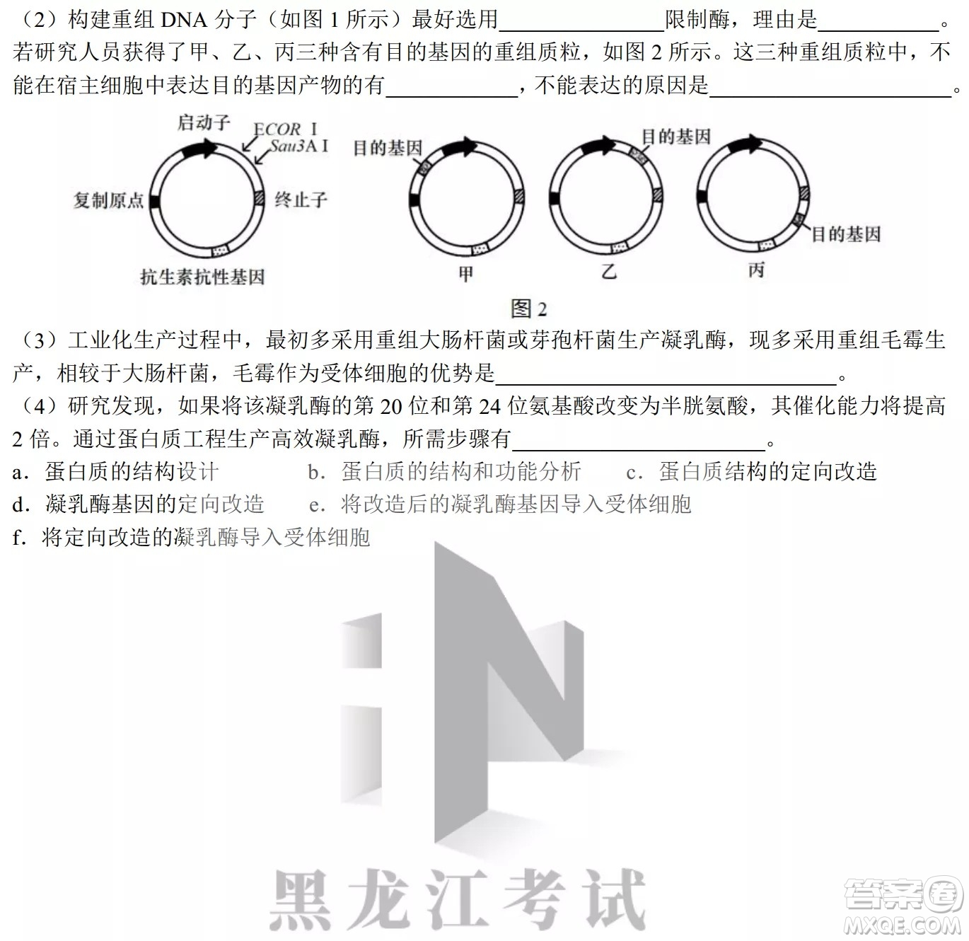 哈爾濱市第九中學(xué)校2021-2022學(xué)年度下學(xué)期開(kāi)學(xué)考試高三理綜試題及答案