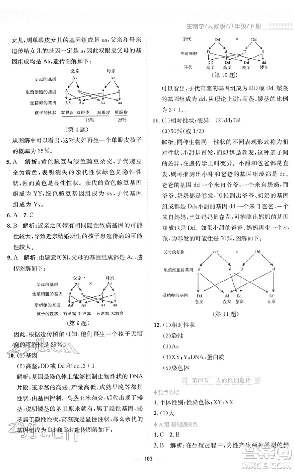 安徽教育出版社2022新編基礎(chǔ)訓(xùn)練八年級(jí)生物下冊(cè)人教版答案