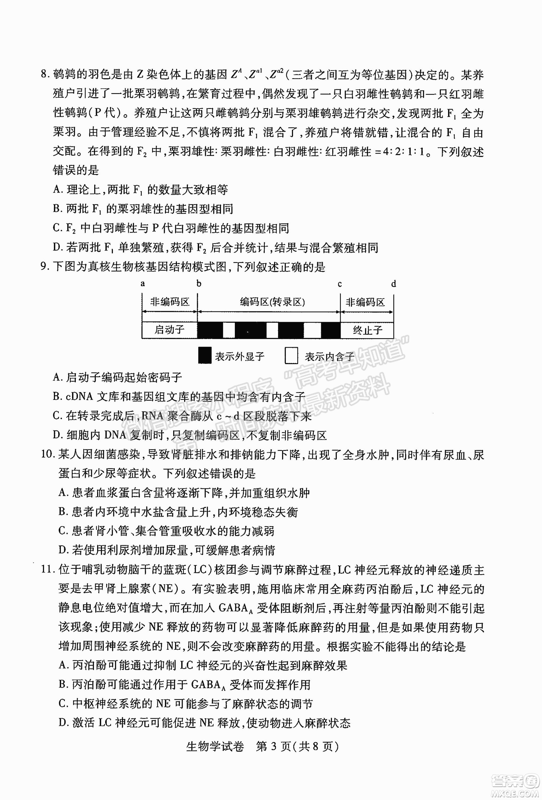 武漢市2022屆高中畢業(yè)生二月調(diào)研考試生物學(xué)試卷及答案