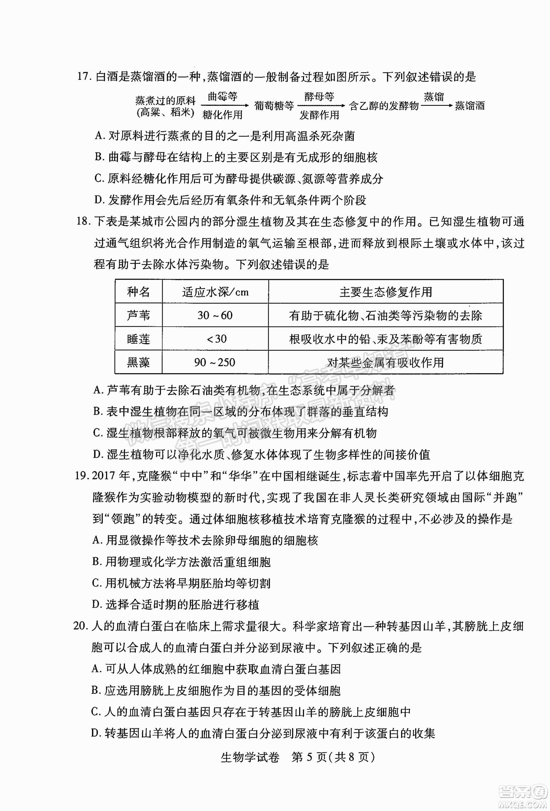 武漢市2022屆高中畢業(yè)生二月調(diào)研考試生物學(xué)試卷及答案