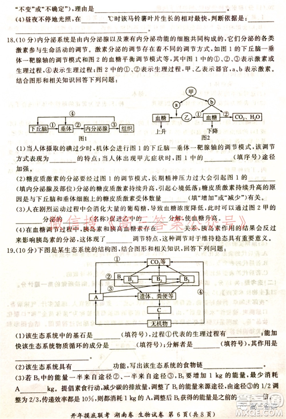 百師聯(lián)盟2022屆高三開年摸底聯(lián)考湖南卷生物試題及答案