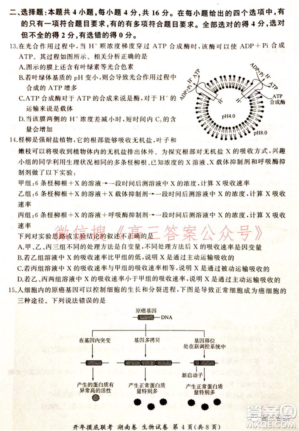 百師聯(lián)盟2022屆高三開年摸底聯(lián)考湖南卷生物試題及答案