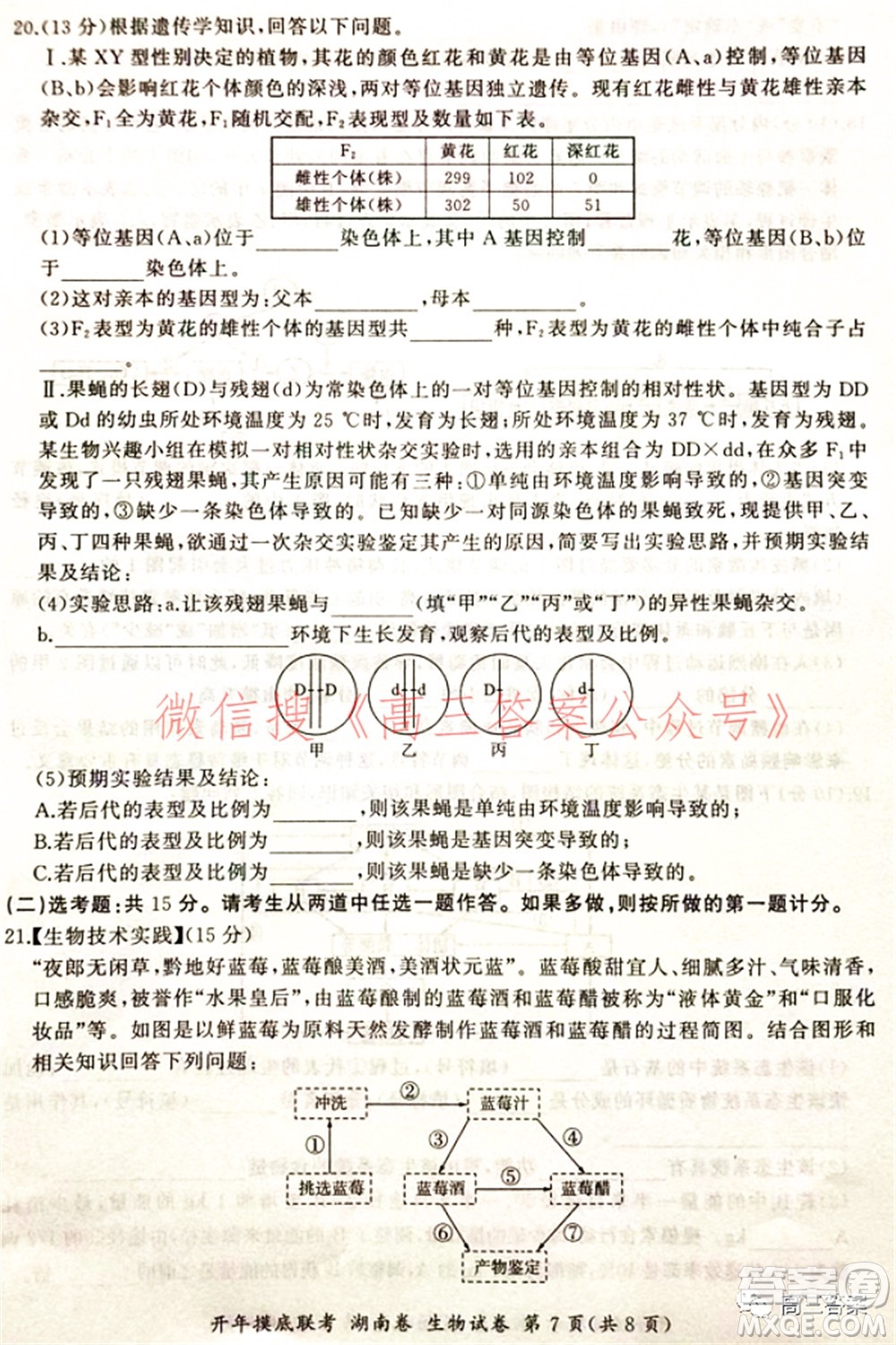 百師聯(lián)盟2022屆高三開年摸底聯(lián)考湖南卷生物試題及答案