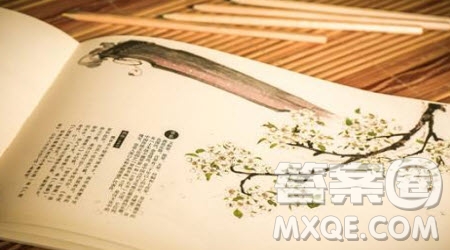 操千曲而后曉聲觀(guān)千劍而后識(shí)器材料作文800字 關(guān)于操千曲而后曉聲觀(guān)千劍而后識(shí)器的材料作文800字