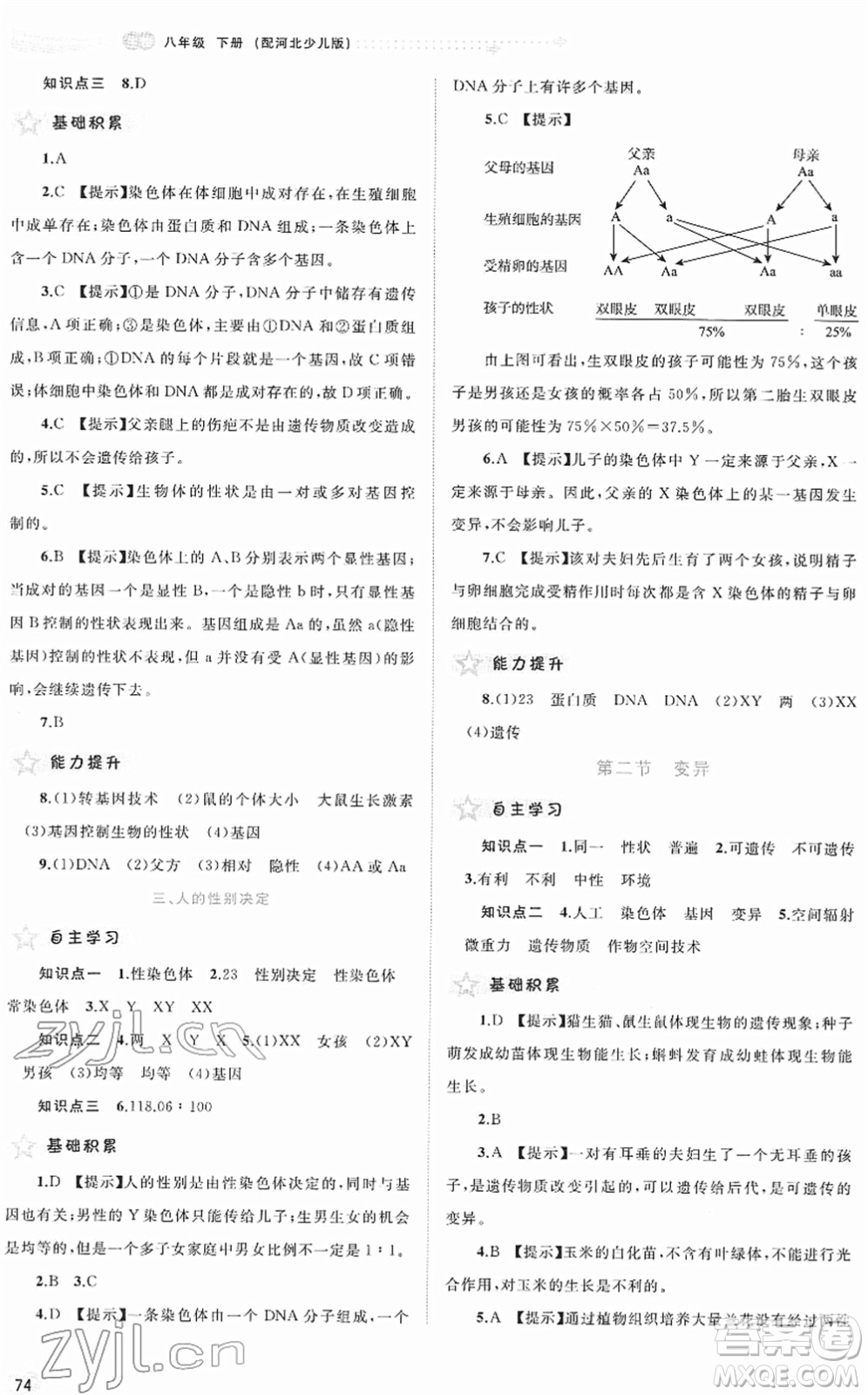 廣西教育出版社2022新課程學(xué)習(xí)與測評同步學(xué)習(xí)八年級生物下冊河北少兒版答案