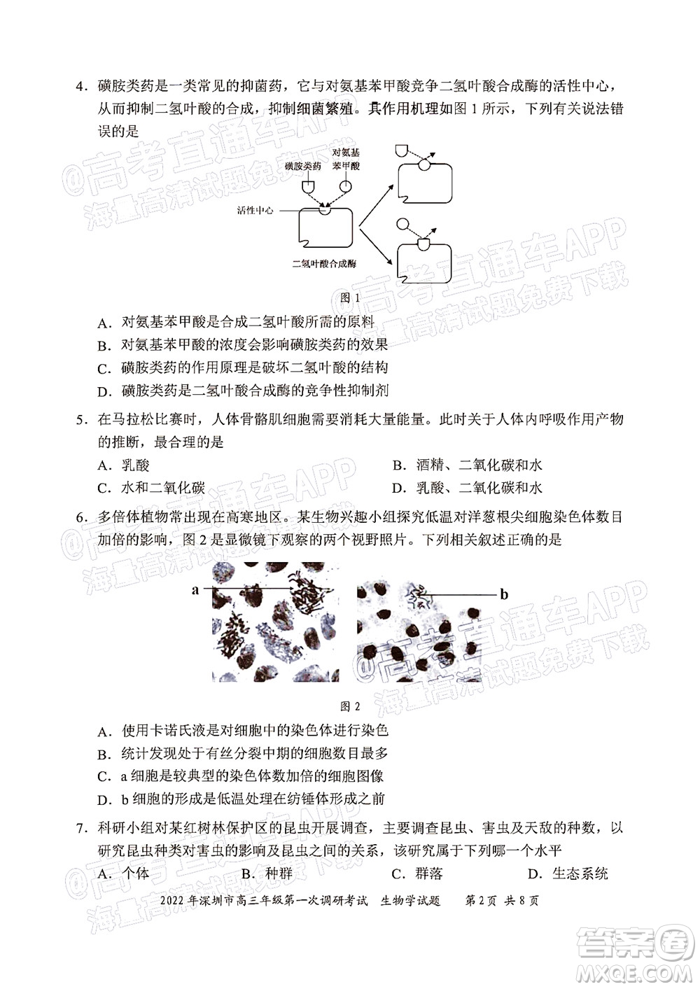 2022年深圳市高三年級第一次調(diào)研考試生物學試題及答案