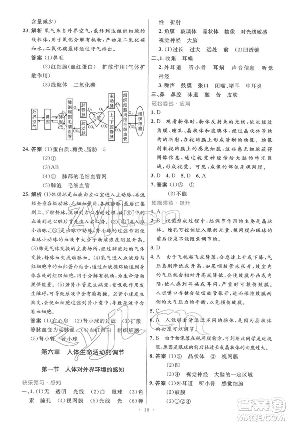 人民教育出版社2022初中同步測(cè)控優(yōu)化設(shè)計(jì)七年級(jí)生物下冊(cè)人教版精編版參考答案