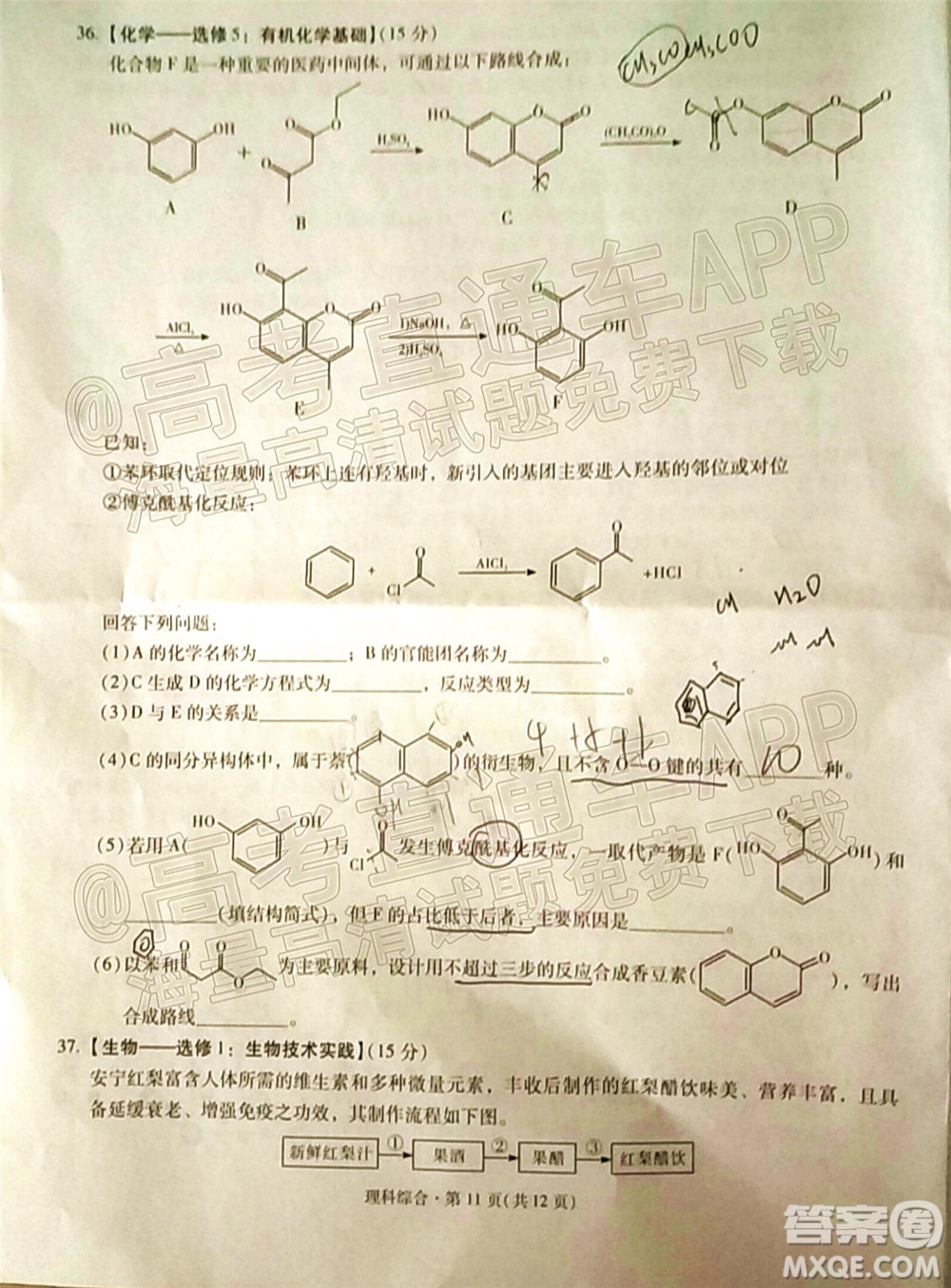 昆明市第一中學(xué)2022屆高中新課標(biāo)高三第七次高考仿真模擬理科綜合試題及答案