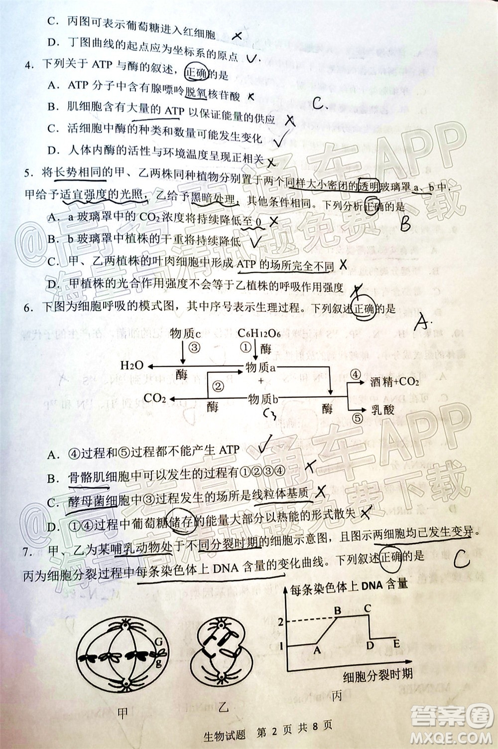 渭南市2022屆高三教學質量檢測1生物試題及答案