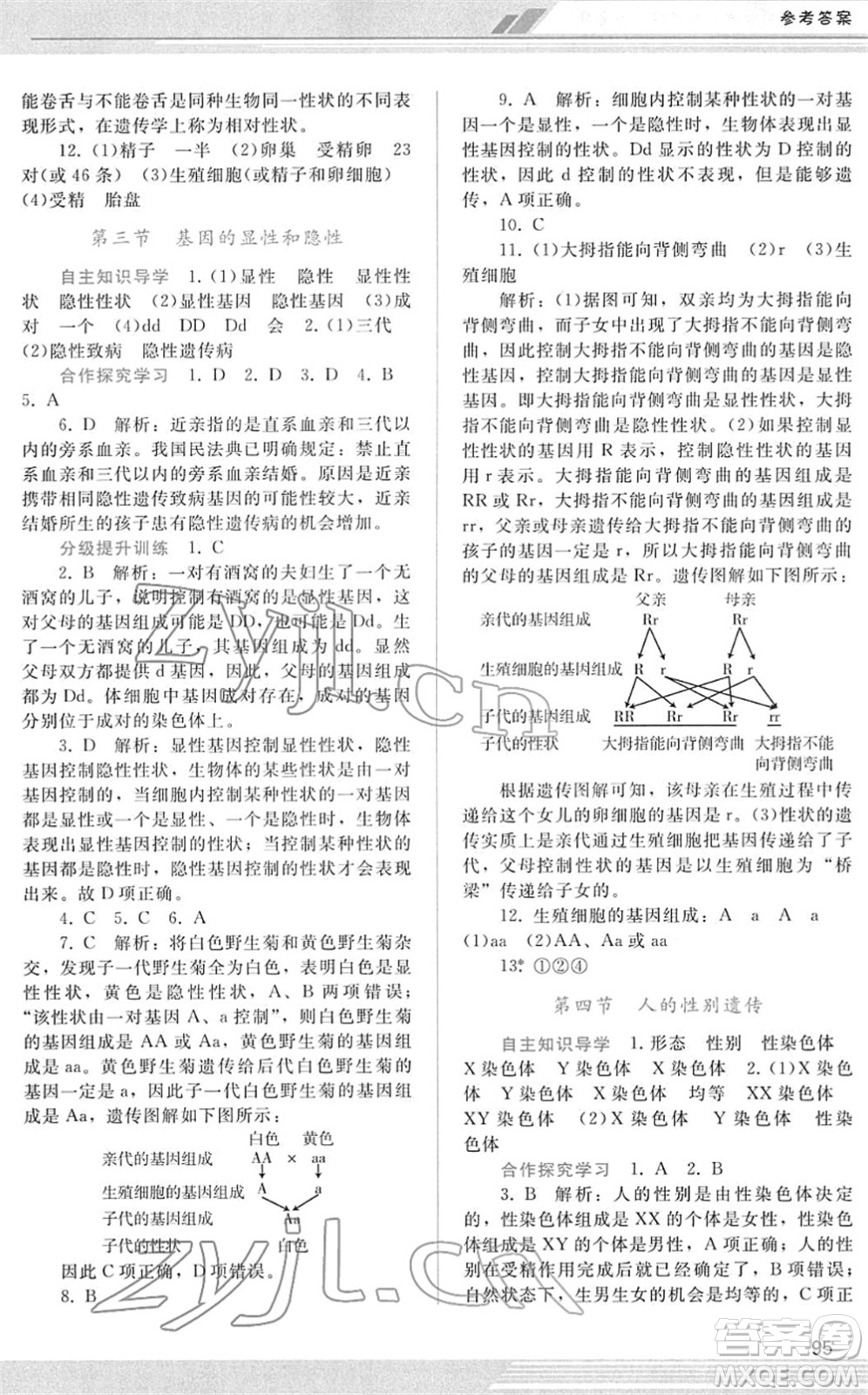 廣西師范大學出版社2022新課程學習輔導八年級生物下冊人教版答案