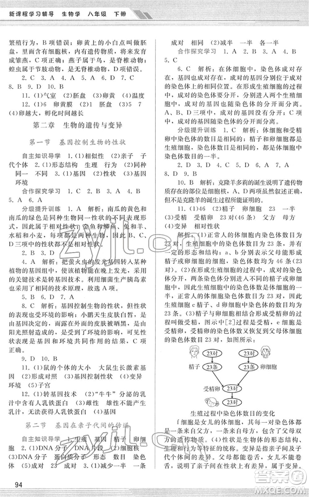 廣西師范大學出版社2022新課程學習輔導八年級生物下冊人教版答案