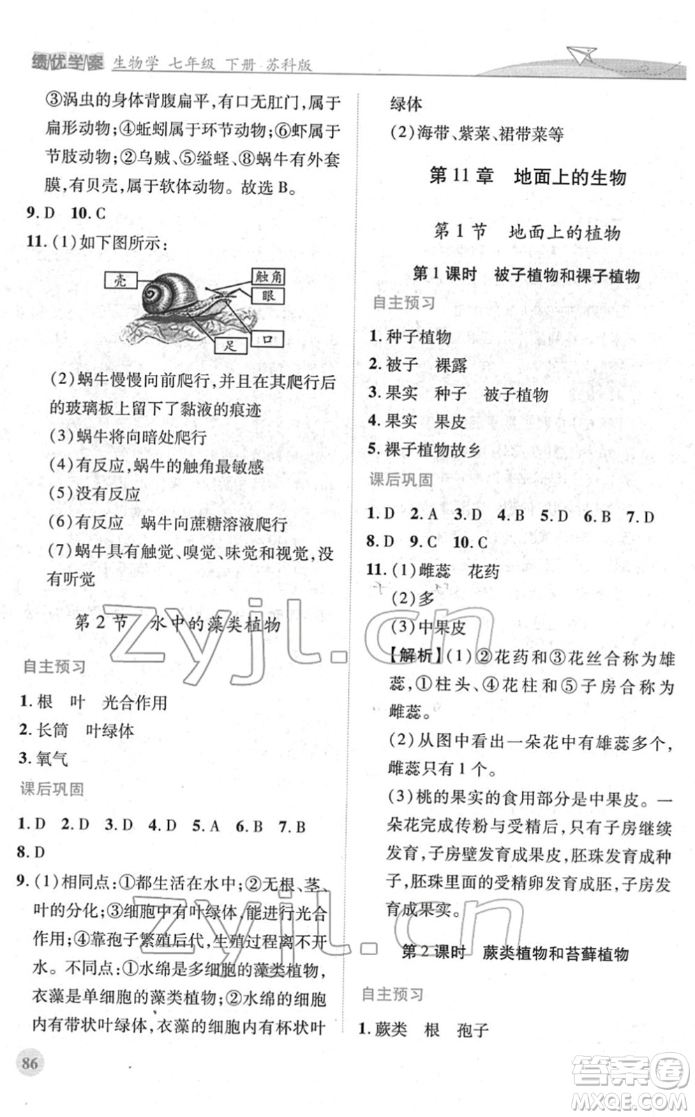 陜西師范大學(xué)出版總社2022績(jī)優(yōu)學(xué)案七年級(jí)生物下冊(cè)蘇科版答案