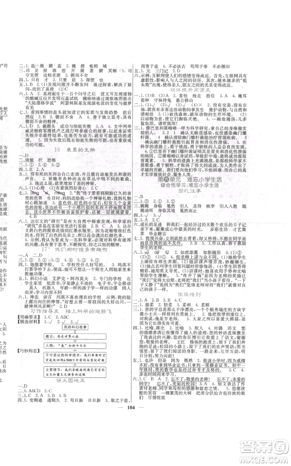 四川大學出版社2022課堂點睛六年級語文下冊人教版參考答案