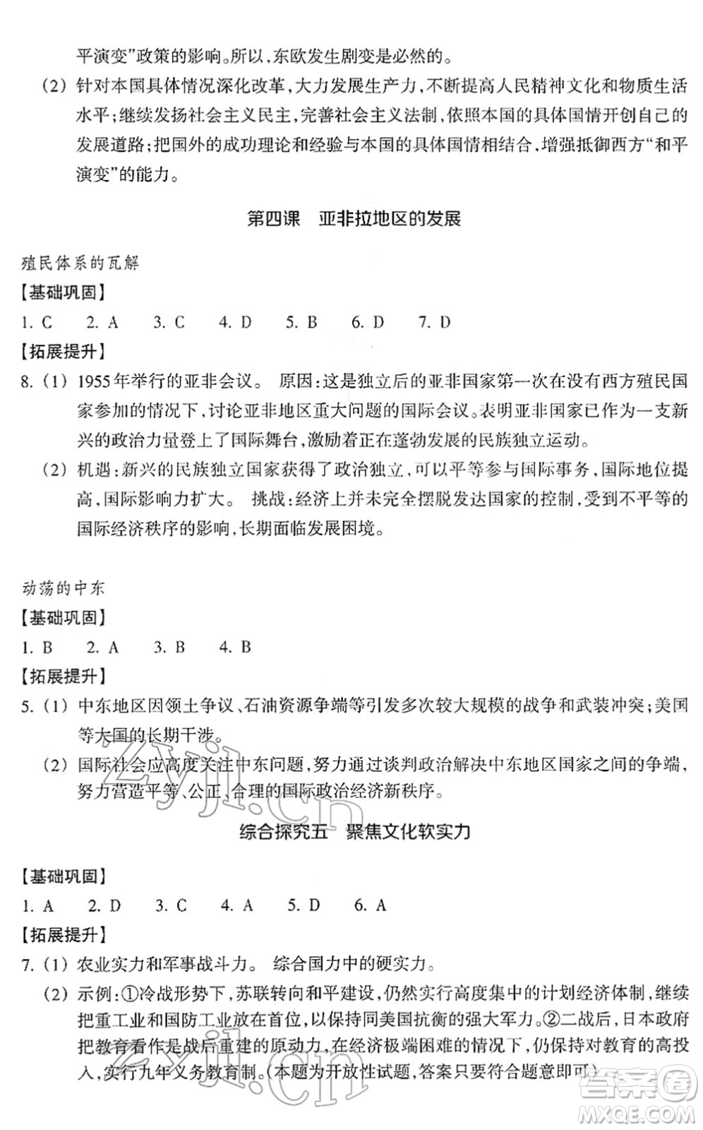 浙江教育出版社2022歷史與社會(huì)作業(yè)本九年級(jí)歷史下冊(cè)人教版答案